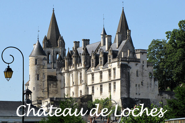 Chateau de loches Chambres d'hotes Beauval